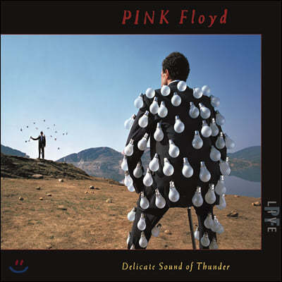 Pink Floyd (ũ ÷̵) - Delicate Sound Of Thunder (Live)