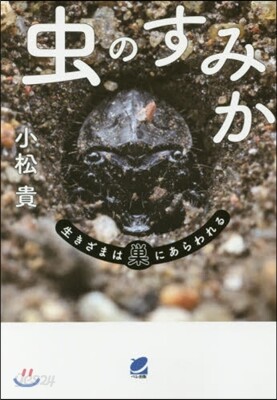 蟲のすみか 生きざまは巢にあらわれる