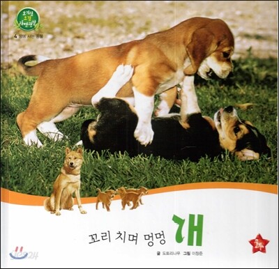 호기심 오감 자연관찰 04 꼬리 치며 멍멍 개 (땅에 사는 동물)