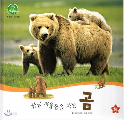 호기심 오감 자연관찰 07 쿨쿨 겨울잠을 자는 곰 (땅에 사는 동물)