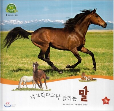 호기심 오감 자연관찰 08 다그닥다그닥 달리는 말 (땅에 사는 동물)