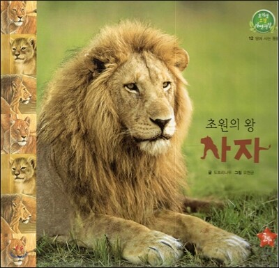호기심 오감 자연관찰 12 초원의 왕 사자 (땅에 사는 동물)