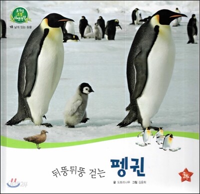 호기심 오감 자연관찰 18 뒤뚱 뒤뚱 걷는 펭귄 (날개 있는 동물)