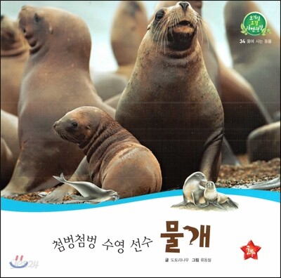 호기심 오감 자연관찰 34 첨벙첨벙 수영 선수 물개 (물에 사는 동물)