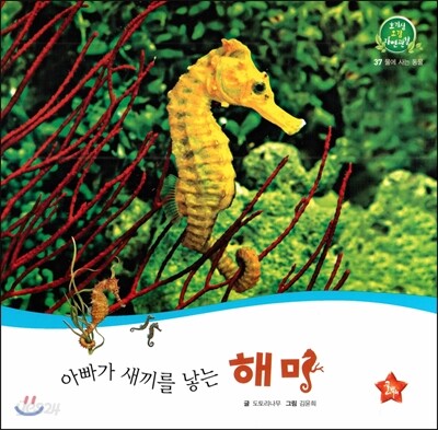 호기심 오감 자연관찰 37 아빠가 새끼를 낳는 해마 (물에 사는 동물)
