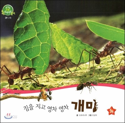 호기심 오감 자연관찰 39 짐을 지고 영차 영차 개미 (곤충)