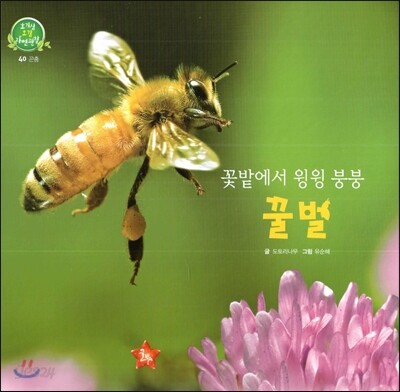 호기심 오감 자연관찰 40 꽃밭에서 윙윙 붕붕 꿀벌 (곤충)