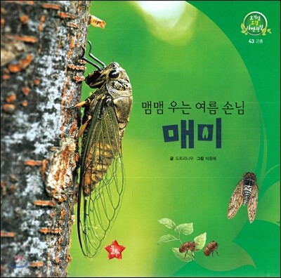호기심 오감 자연관찰 43 맴맴 우는 여름 손님 (곤충)