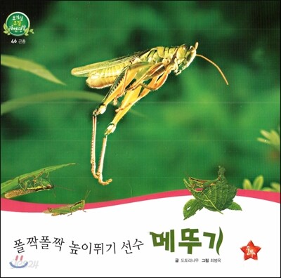 호기심 오감 자연관찰 46 폴짝폴짝 높이뛰기 선수 메뚜기 (곤충)