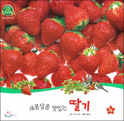 호기심 오감 자연관찰 49 새콤달콤 맛있는 딸기 (열매와 채소)