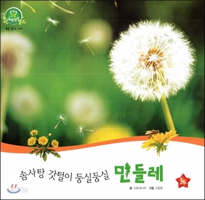 호기심 오감 자연관찰 63 솜사탕 갓털이 둥실둥실 민들레 (꽃과 나무)
