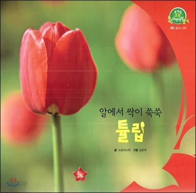 호기심 오감 자연관찰 66 알에서 싹이 쑥쑥 튤립 (꽃과 나무)
