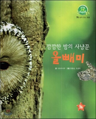 호기심 오감 자연관찰 75 깜깜한 밤의 사냥꾼 올빼미 (날개 있는 동물)