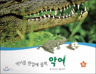 호기심 오감 자연관찰 76 먹이를 한입에 꿀꺽 악어 (물에 사는 동물)
