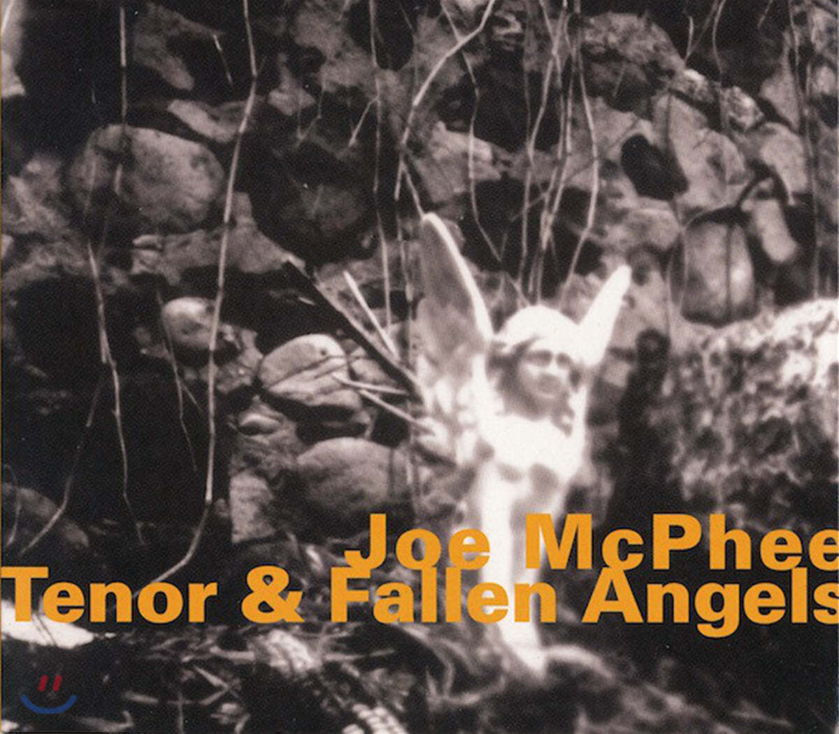 Joe Mcphee - Tenor &amp; Fallen Angels