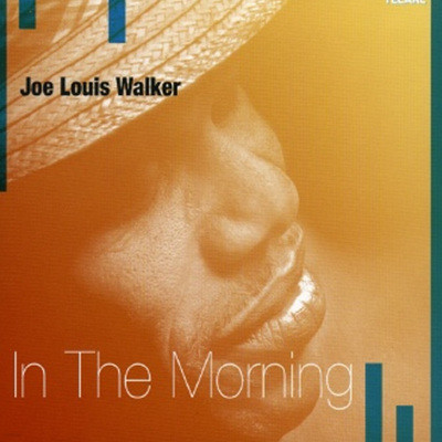 Joe Louis Walker - In The Morning