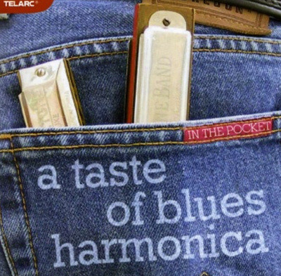 In The Pocket - A Taste Of Blues Harmonica