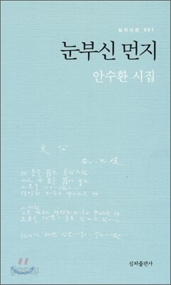 눈부신 먼지