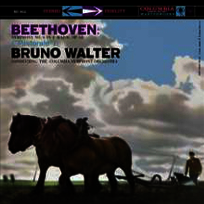Bruno Walter — 베토벤: 교향곡 6번 '전원' (Beethoven: Symphony No.6 'Pastorale') (Super Analog) - Bruno Walter 앨범 커버
