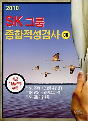 2010 SK 그룹 종합적성검사 06