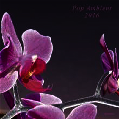 Various Artists — Pop Ambient 2016 앨범 커버