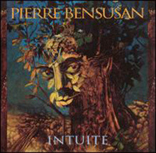 Pierre bensusan - Intuite