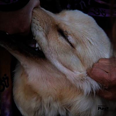Christian Fennesz & Jim O'Rourke — It's Hard For Me To Say I'm Sorry 앨범 커버