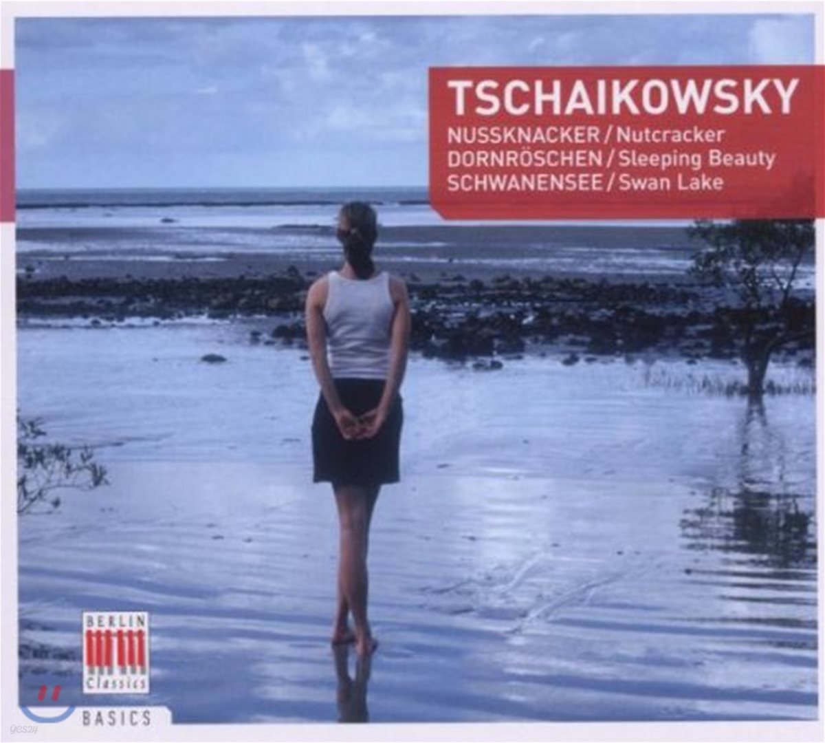 Heinz Rogner 차이코프스키: 발레 모음곡 (Tchaikovsky: Ballet Suites)
