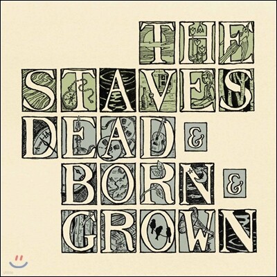 The Staves — Dead & Born & Grown 앨범 커버