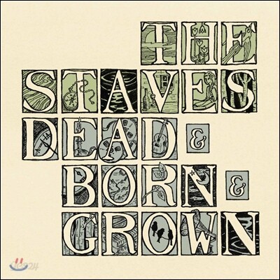 The Staves (스테이브스) - Dead & Born & Grown [LP]