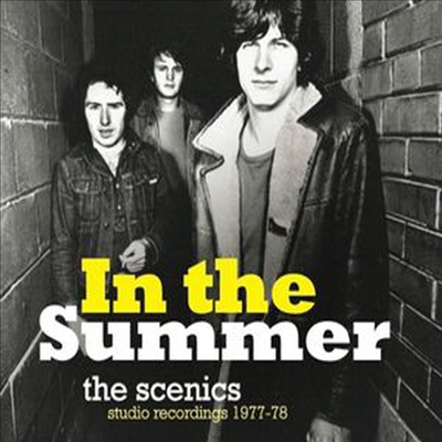 Scenics - In the Summer: Studio Recordings 1977/ 78