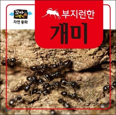 꼬마지팡이 자연동화 : 개미