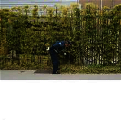 Gold Panda — Good Luck & Do Your Best 앨범 커버