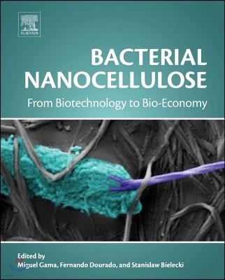 Bacterial Nanocellulose: From Biotechnology to Bio-Economy