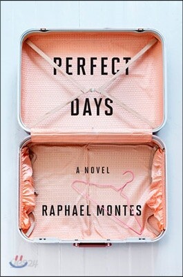 Perfect Days