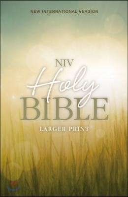 Holy Bible-NIV