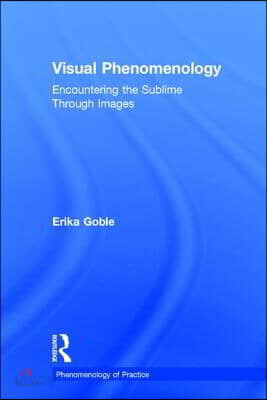 Visual Phenomenology