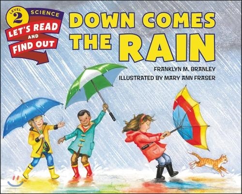 Down Comes the Rain