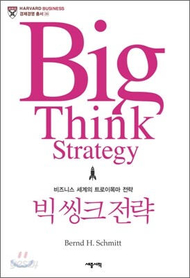 빅 씽크 전략