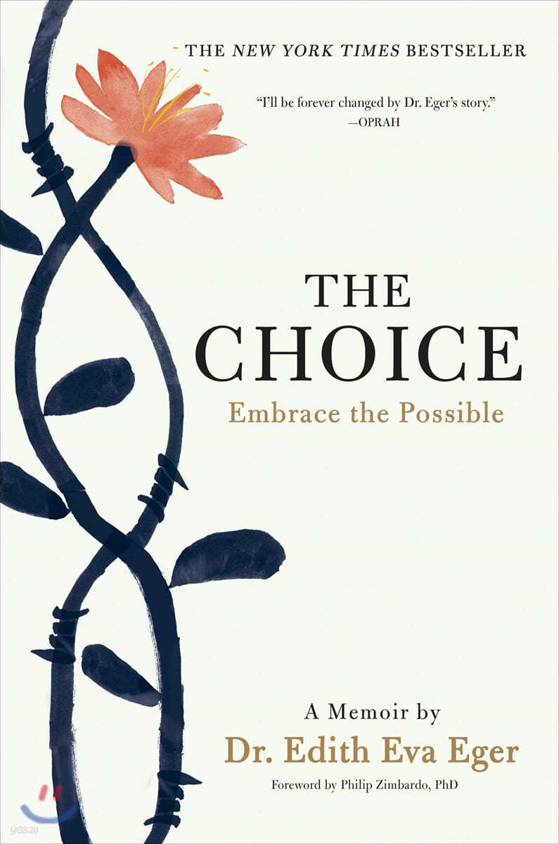 The Choice: Embrace the Possible