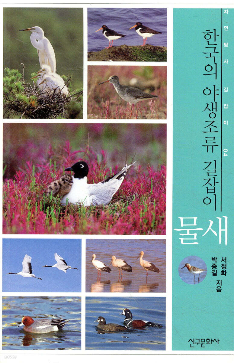 물새