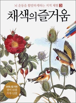 채색의 즐거움 3