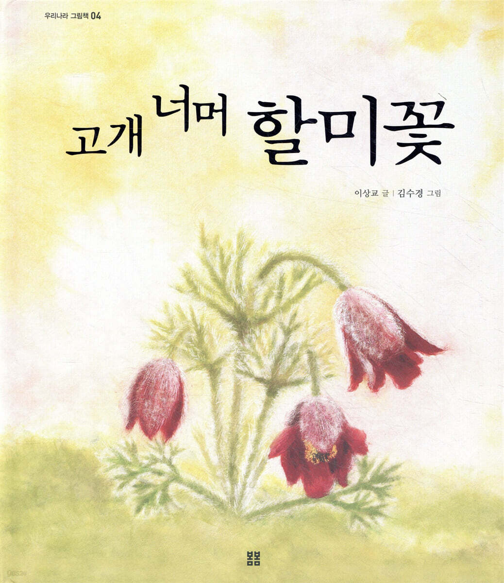 고개 너머 할미꽃