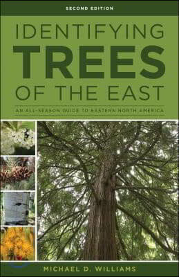 Identifying Trees of the East: An All-Season Guide to Eastern North America