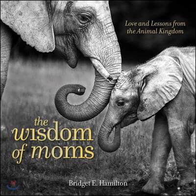 The Wisdom of Moms: Love and Lessons from the Animal Kingdom