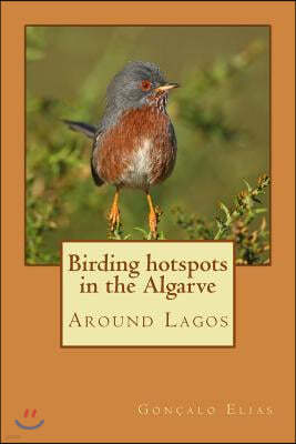 Birding hotspots in the Algarve: Around Lagos