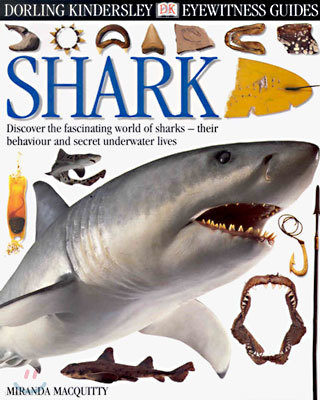 DK Eyewitness Guides : Shark