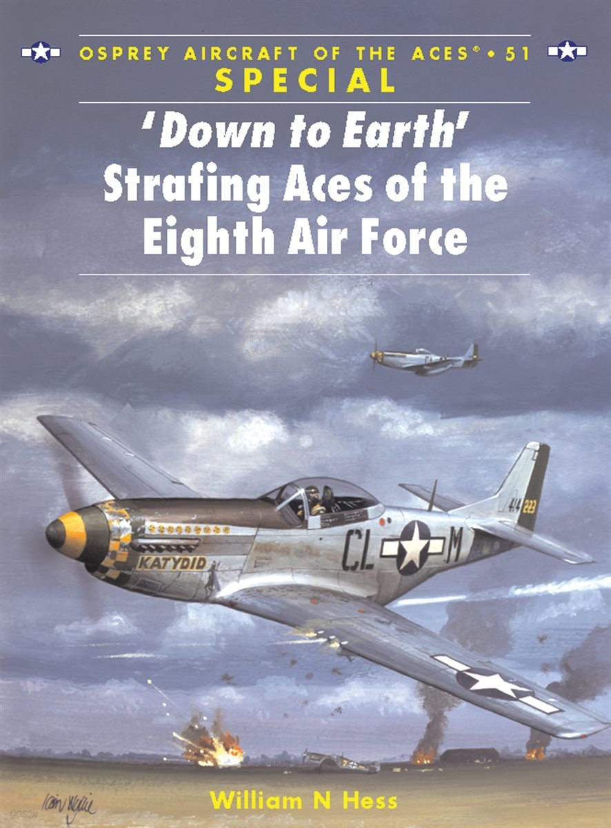 ‘Down to Earth&#39; Strafing Aces of the Eighth Air Force