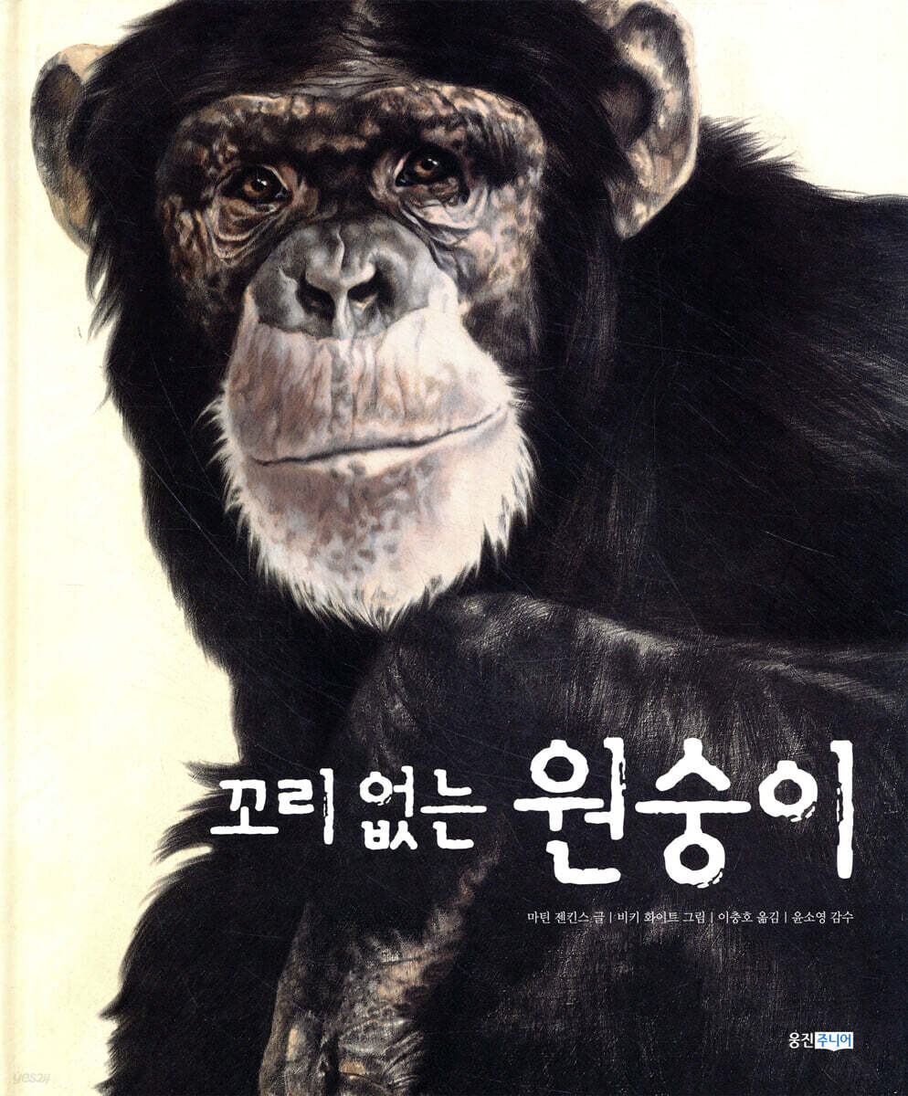 꼬리없는 원숭이