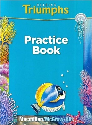 Triumphs Grade 2 : Practice Book